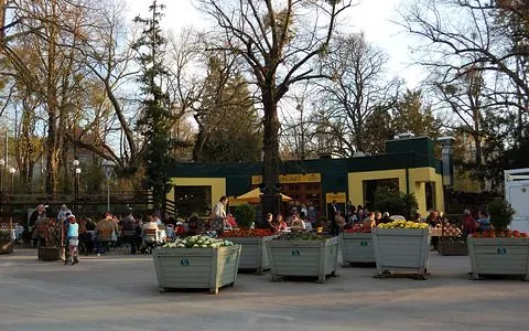 Beer garden in Türkenschanzpark in the afternoon