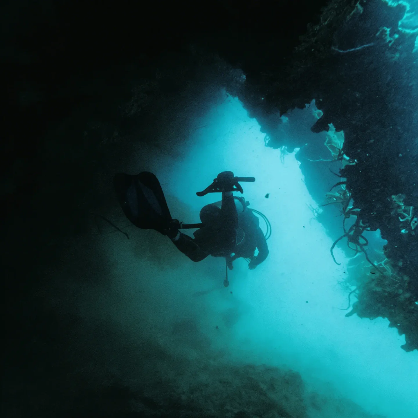 Diver on the Deep Sea special mission